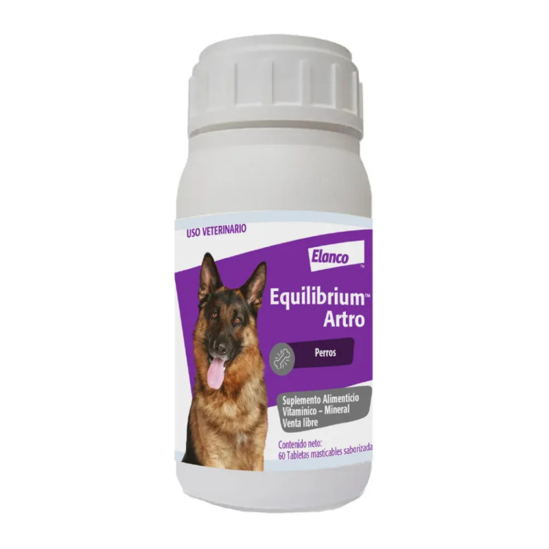 Equilibrium Artro