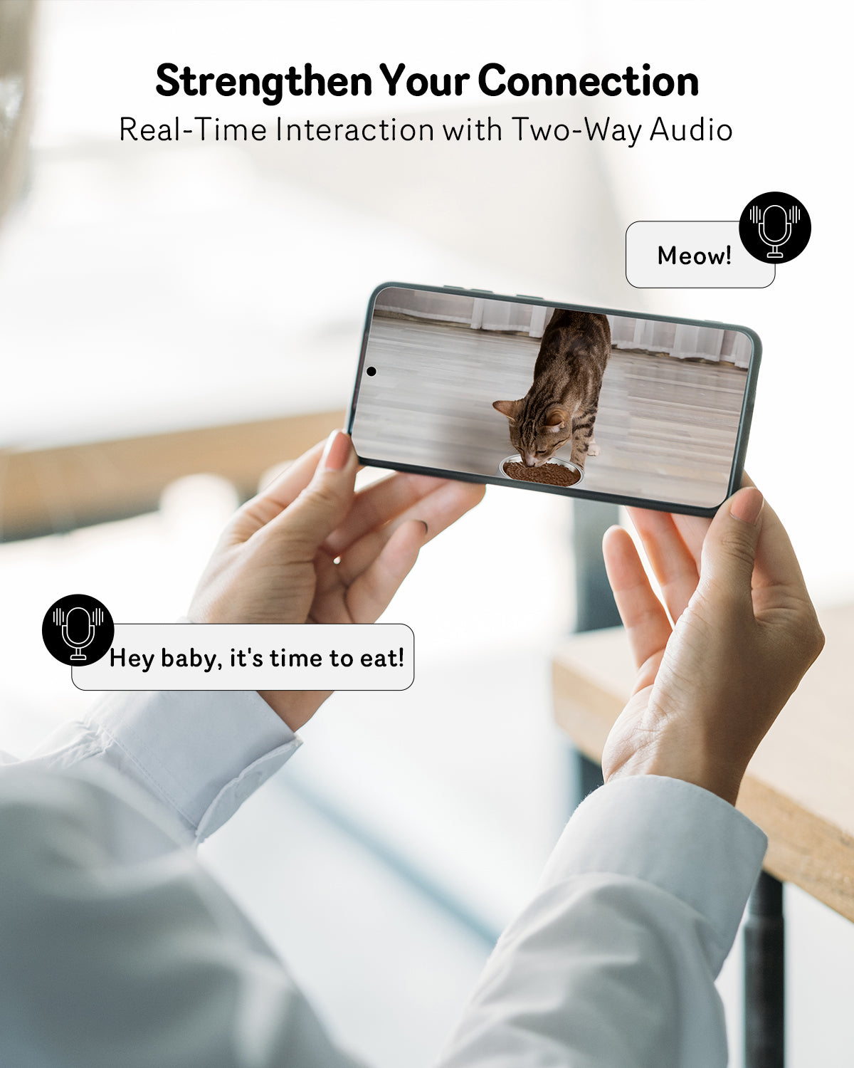 Pawzenit Vision Pro Feeder